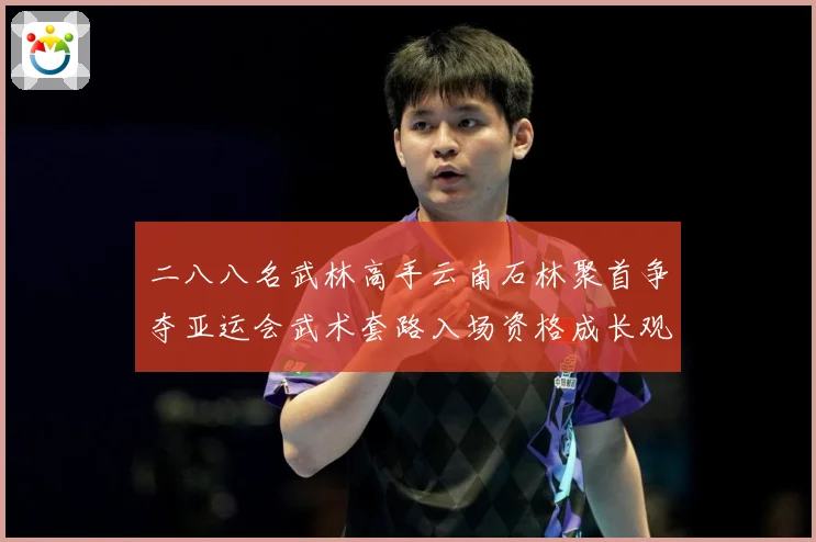 二八八名武林高手云南石林聚首争夺亚运会武术套路入场资格成长观察