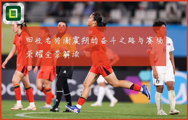 田径名将谢震朔的奋斗之路与赛场荣耀全景解读