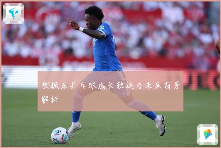 樊振东乒乓球成长轨迹与未来前景解析