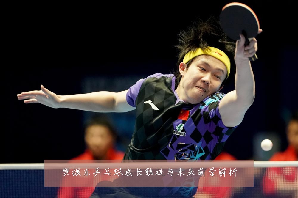 樊振东乒乓球成长轨迹与未来前景解析