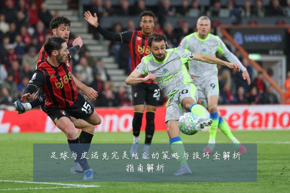足球与皮诺克完美结合的策略与技巧全解析指南解析