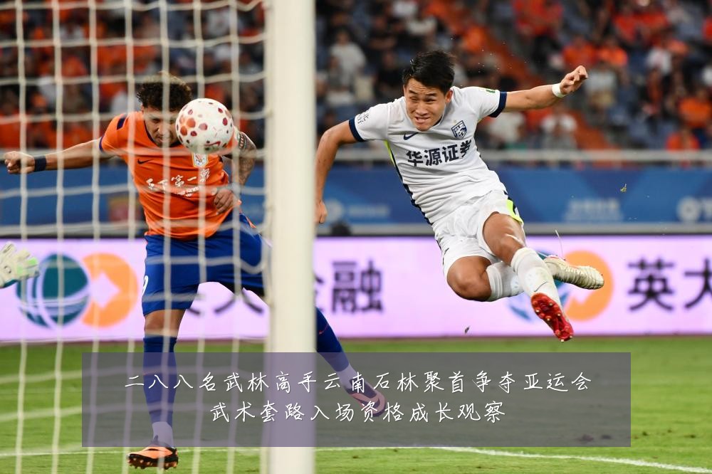 二八八名武林高手云南石林聚首争夺亚运会武术套路入场资格成长观察